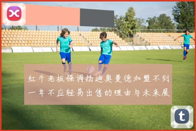 红牛老板强调扬迪奥曼德加盟不到一年不应轻易出售的理由与未来展望