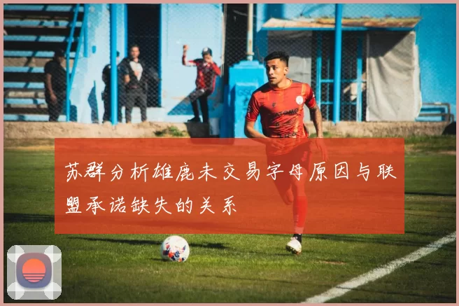 苏群分析雄鹿未交易字母原因与联盟承诺缺失的关系
